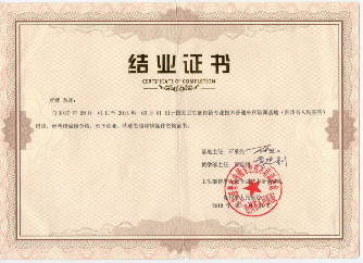外一科素材.png