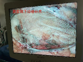 图片14.png